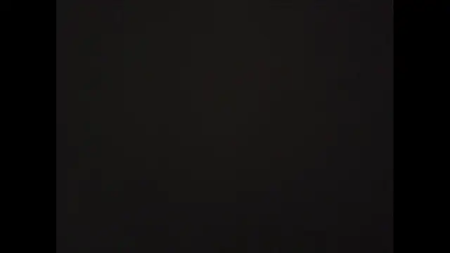 081547 Show in webcam