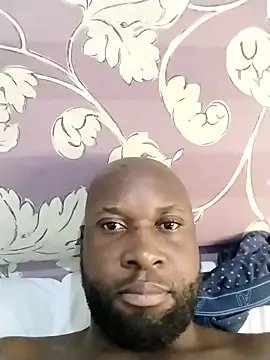 Онлайн чат XXX Stallion100