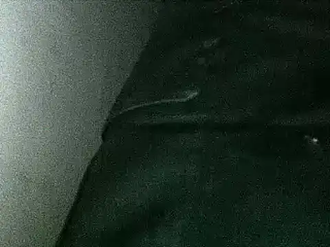 Christian_Stiven1 现场XXX聊天