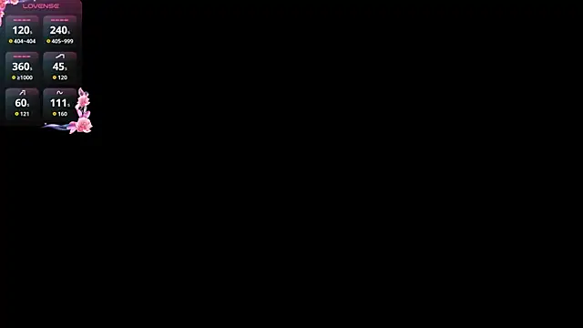 BrigittePirollin Webbikameraesitys