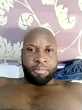 Stallion100 Live XXX-chat