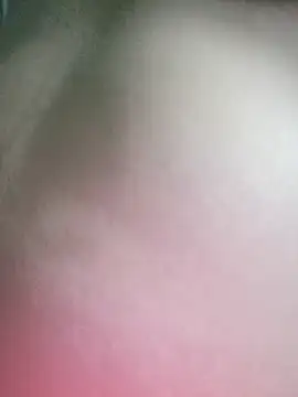 Show webcam de paladito01