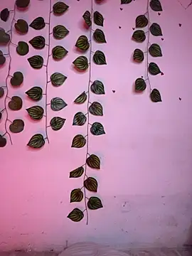 Sembang XXX Secara Langsung Isabella_Belmont