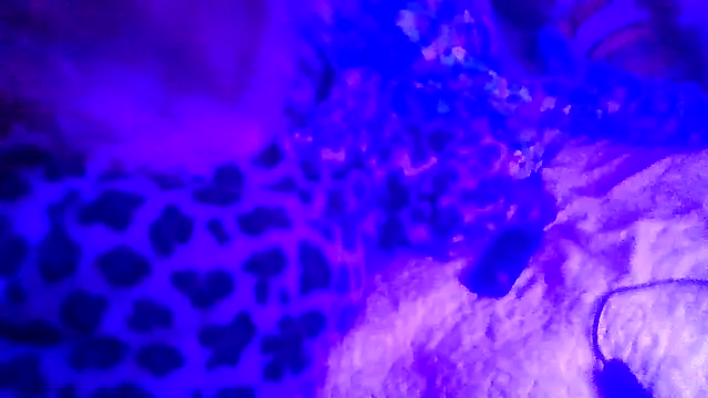 prettymaa's Live XXX Chat