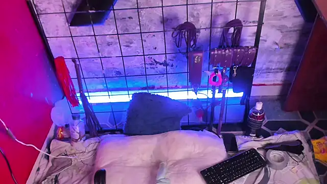 Онлайн чат XXX Charlotte_Bms7