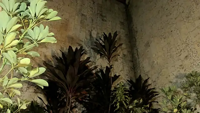 loladupont Chat XXX in diretta