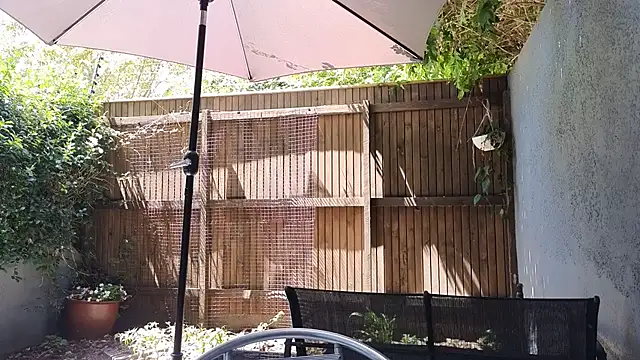 TopsyWilde: απευθείας συνομιλία ΧΧΧ