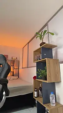 Chatroom XXX en direct de Sebastian_Reed