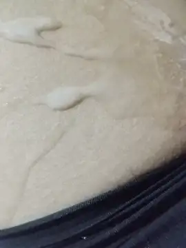 Chat +18 de sexy-456789 ao vivo