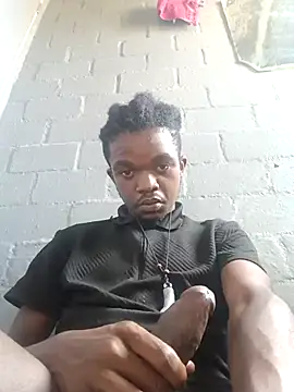 Xmint231 Show Webcam