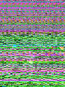 TranSexualJade95のライブXXXチャット