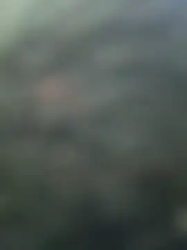 Chatroom XXX en direct de Ananya_34