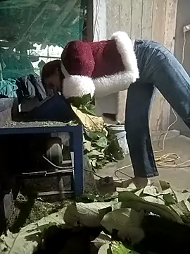 nangmo 在線直播表演