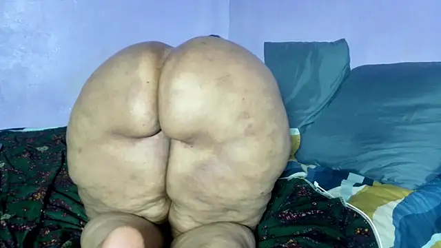 wilmaassylum – Live XXX-chat