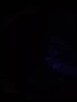 CookedFourth Webcamshow