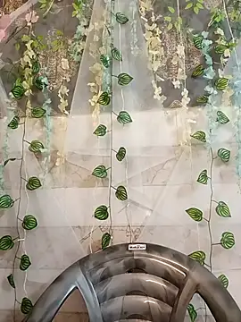 Twinkle-girl Pertunjukan Webcam