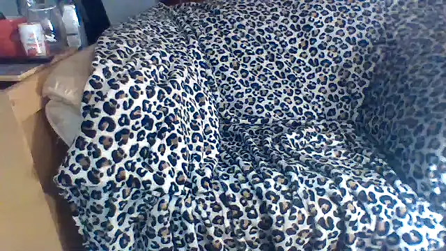 BettyCock live XXX chat