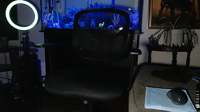 EspanolVato webkamerás műsora