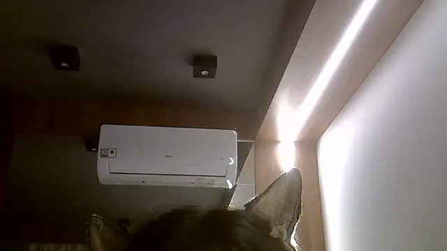 Chat +18 de SkinnyKitten ao vivo