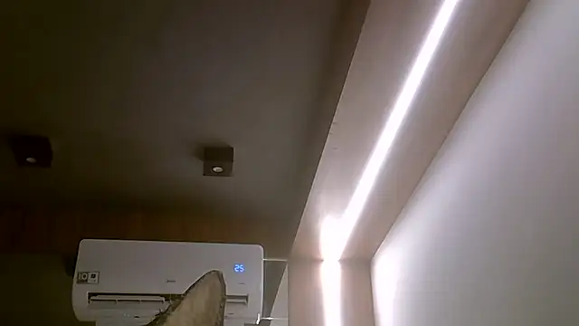 Show de webcam de SkinnyKitten