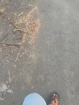 FlirtyxBoy 网络视讯表演