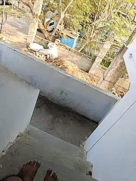 Chat XXX Live hemcrazy