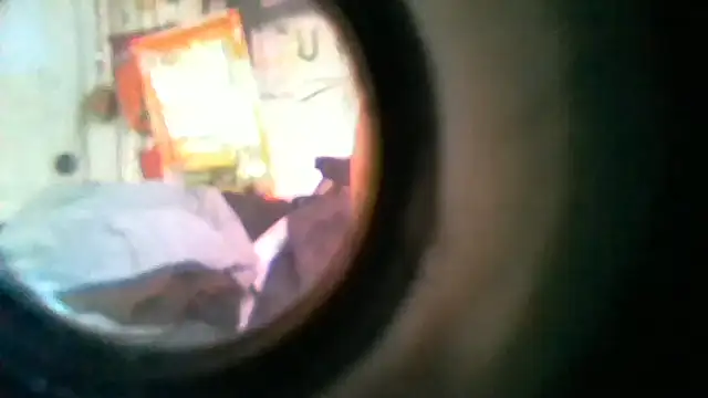 In2itvegassstyle's Live XXX Chat