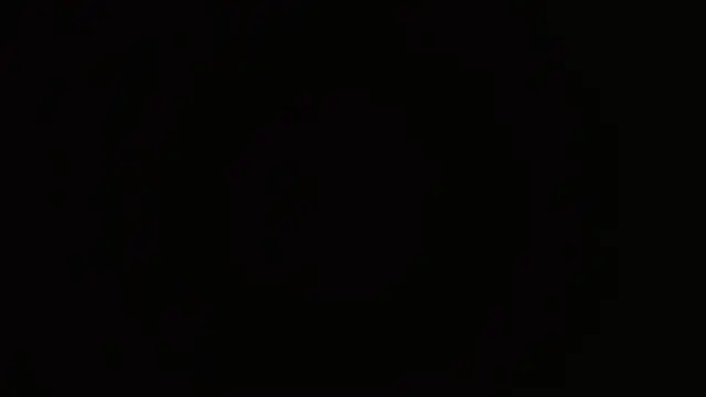 JackyHotBlack 即時 XXX 聊天