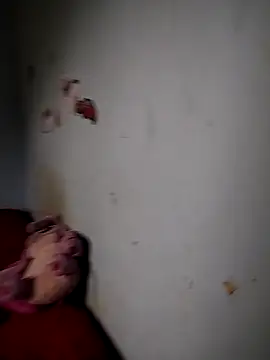 catalella16 Pertunjukan Webcam