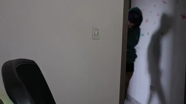 Show Webcam de trieone