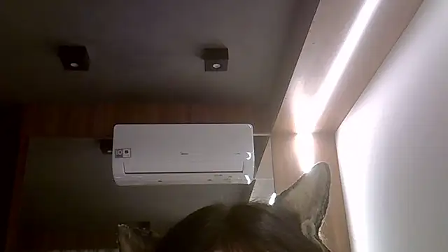 SkinnyKitten 在線直播表演