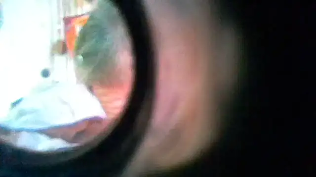 Show webcam de In2itvegassstyle