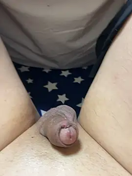 DX-tarotaron Obrolan Langsung XXX