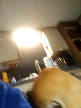 zaneporter46 Live XXX-Chat