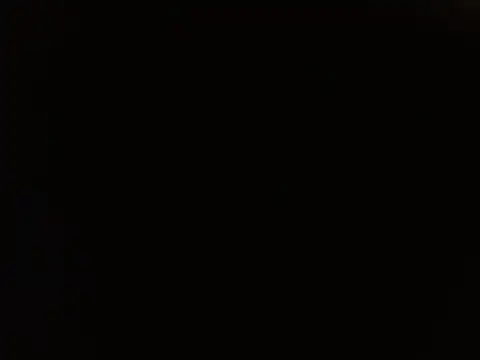 Roiseeeeのウェブカメラショー