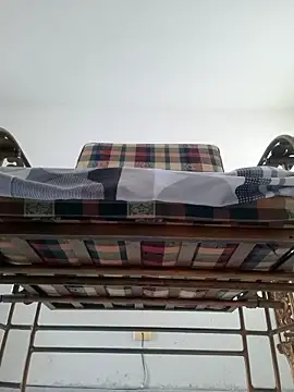 Ally-cutee 라이브 XXX 채팅