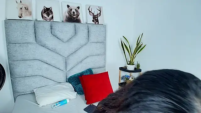 KimberlyFox_t's Webcam Show