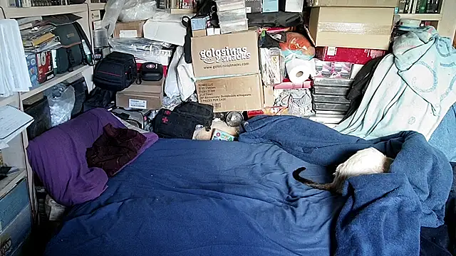 دردشة hadeszeuss2 الجنسية المباشرة