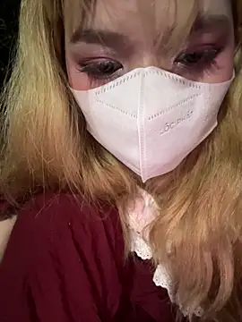 Fox_smalln Webbikameraesitys