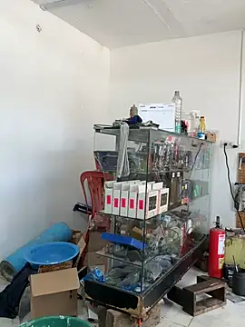 Paul22cm- – Live XXX-chat