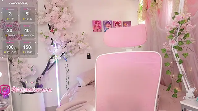 aikonanyのウェブカメラショー