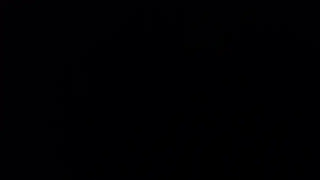 bossking017 现场XXX聊天