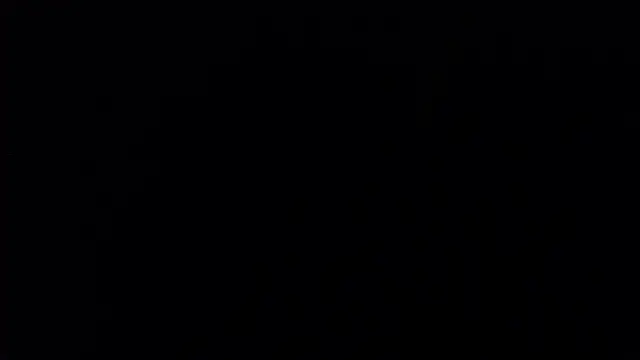 bossking017 Live XXX-Chat