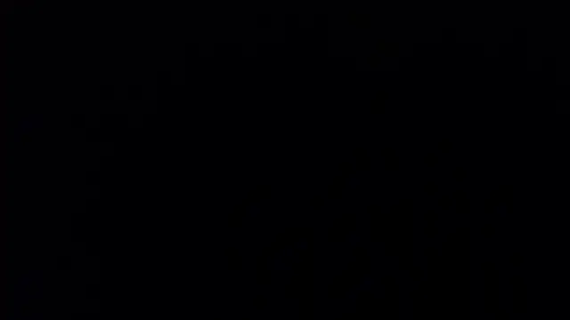 bossking017のライブXXXチャット