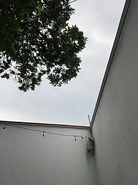 Chat +18 de Namii_cute ao vivo