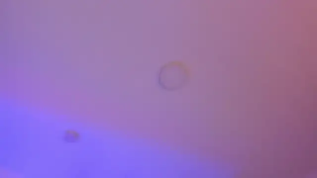 Chat XXX ao vivo de YariRose