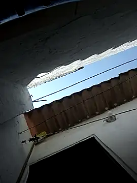 Chingasexo – Naživo XXX chat