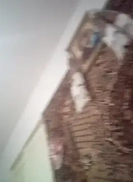 Webkamerová show MilaCold5443