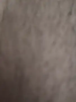 KingCobraClassy's Live XXX Chat