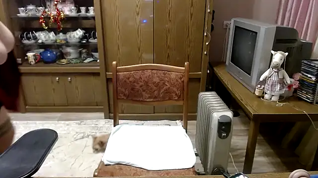 Stelladivafox: απευθείας συνομιλία ΧΧΧ